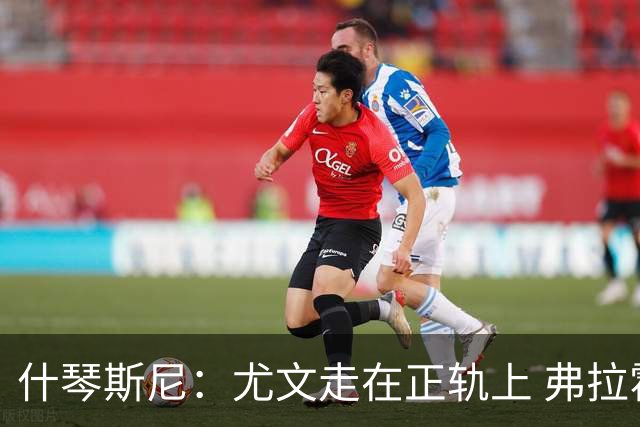 什琴斯尼：尤文走在正轨上 弗拉霍维奇非常出色