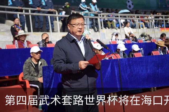 第四届武术套路世界杯将在海口开赛 30多个国家和地区人员参赛
